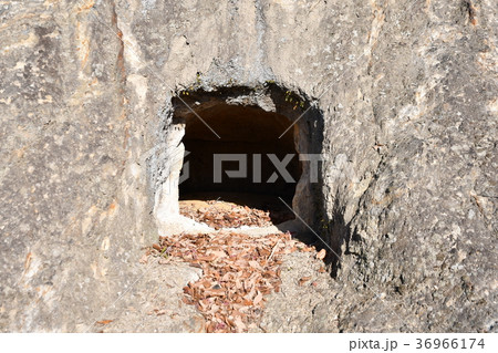 吉見百穴 36966174