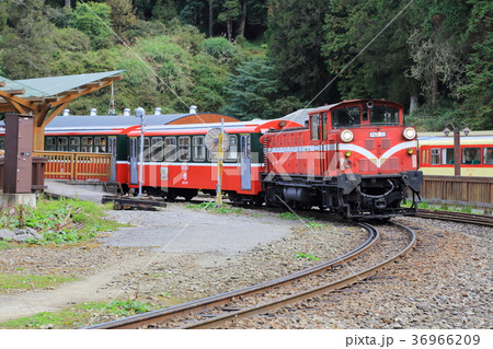 台湾・阿里山森林鉄道 36966209
