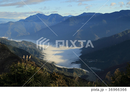 台湾・阿里山国家風景区 雲海 台湾・阿里山国家風景区 雲海 36966366