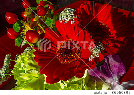 ブーケのグリーテイングカード ブーケのグリーテイングカード 36966395