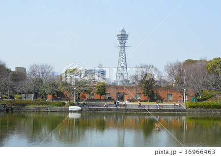 河底池･通天閣（天王寺公園／大阪市天王寺区茶臼山町） 36966463