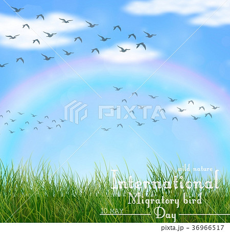 Wild nature with green grass and flying birds Wild nature with green grass and flying birds 36966517
