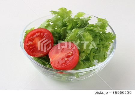 トマトとサラダワサビナのサラダ 36966556