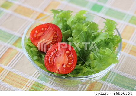 トマトとサラダワサビナのサラダ 36966559