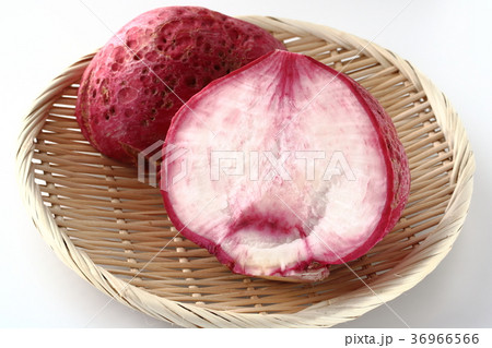 赤カブ 赤カブ 36966566