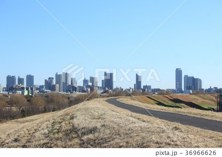 青空快晴の荒川河川敷から見ゆる川口タワーマンション群 青空快晴の荒川河川敷から見ゆる川口タワーマンション群 36966626