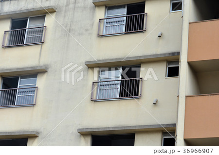 マンション（アパート） 36966907
