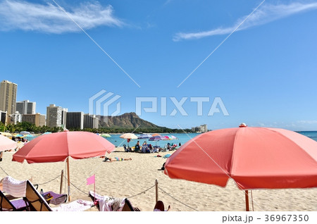 ハワイの休日 36967350