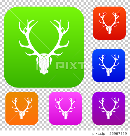Deer antler set collection Deer antler set collection 36967559