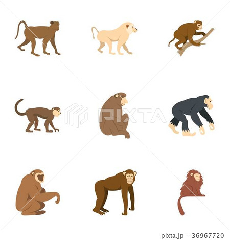 Monkey icon set, flat style Monkey icon set, flat style 36967720