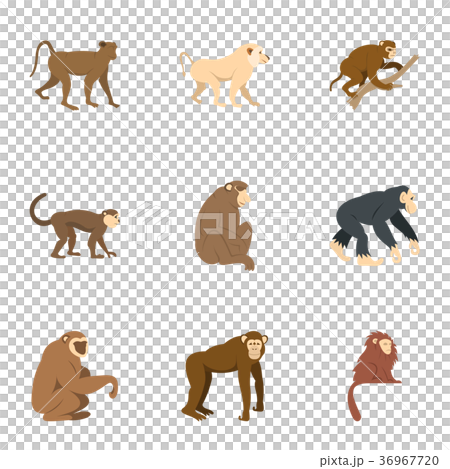 Monkey icon set, flat style 36967720