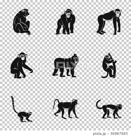 Monkey icon set, simple style 36967885