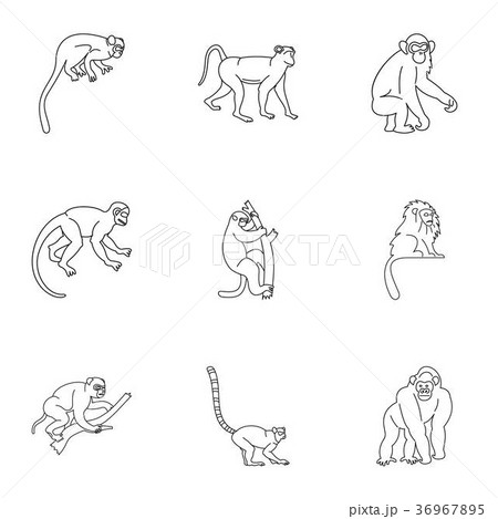 Monkey icon set, outline style Monkey icon set, outline style 36967895