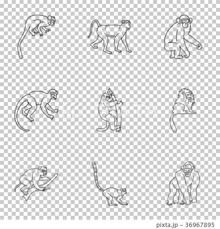 Monkey icon set, outline style Monkey icon set, outline style 36967895