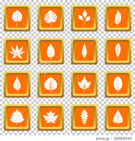 Plant leafs icons set orange 36968048