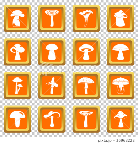 Mushroom icons set orange Mushroom icons set orange 36968228