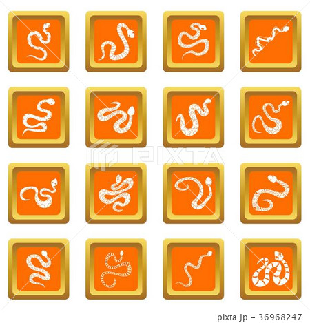Snake icons set orange Snake icons set orange 36968247
