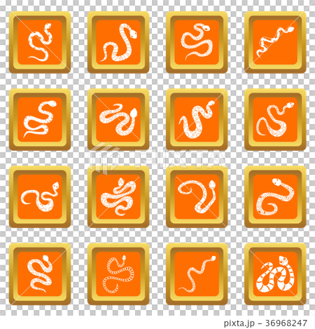 Snake icons set orange Snake icons set orange 36968247
