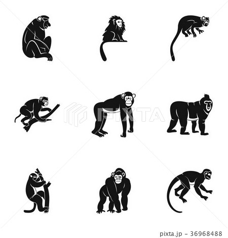 Different monkey icon set, simple style Different monkey icon set, simple style 36968488