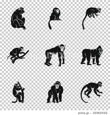 Different monkey icon set, simple style 36968488
