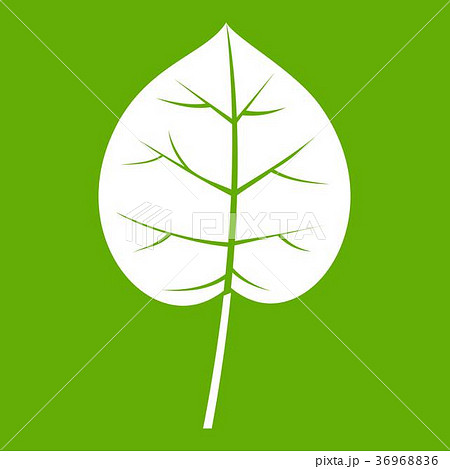 Linden leaf icon green Linden leaf icon green 36968836
