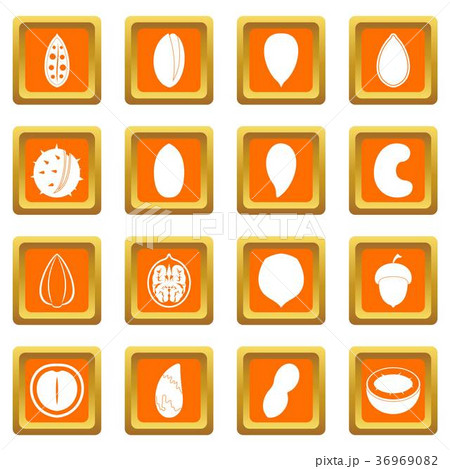 Nuts icons set orange Nuts icons set orange 36969082
