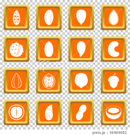 Nuts icons set orange Nuts icons set orange 36969082