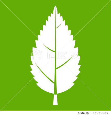 Hornbeam leaf icon green Hornbeam leaf icon green 36969085