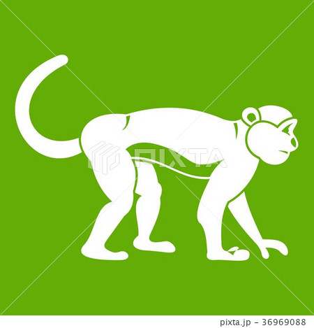 Macaque icon green Macaque icon green 36969088