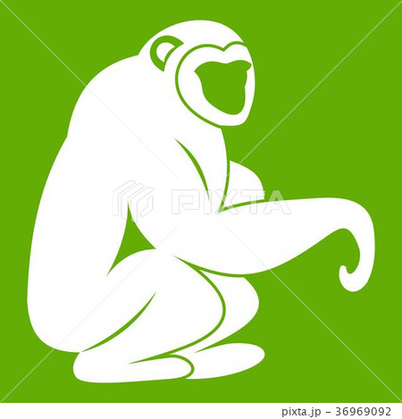 Monkey sitting icon green 36969092