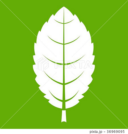 Plum leaf icon green Plum leaf icon green 36969095