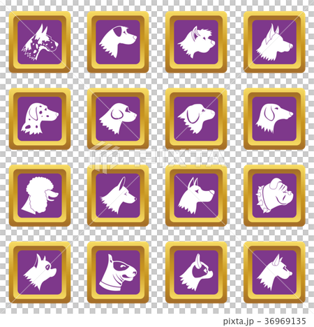 Dog icons set purple 36969135