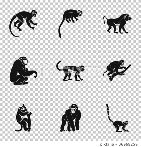 Species of monkey icon set, simple style Species of monkey icon set, simple style 36969259