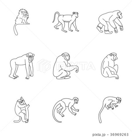 Tropical monkey icon set, outline style 36969263