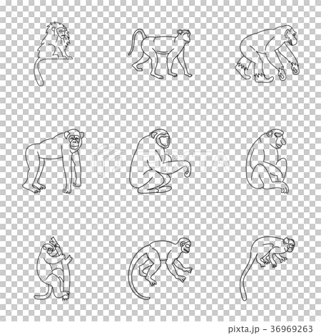 Tropical monkey icon set, outline style 36969263
