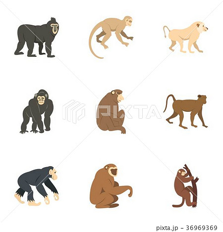 Different monkey icon set, flat style Different monkey icon set, flat style 36969369
