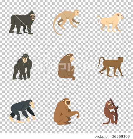 Different monkey icon set, flat style 36969369