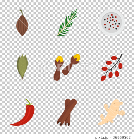 Condiment icon set, flat style 36969562