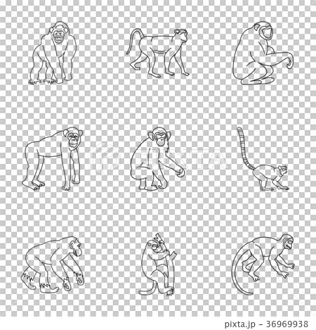 Jungle monkey icon set, outline style Jungle monkey icon set, outline style 36969938
