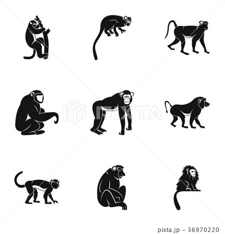Jungle monkey icon set, simple style Jungle monkey icon set, simple style 36970220