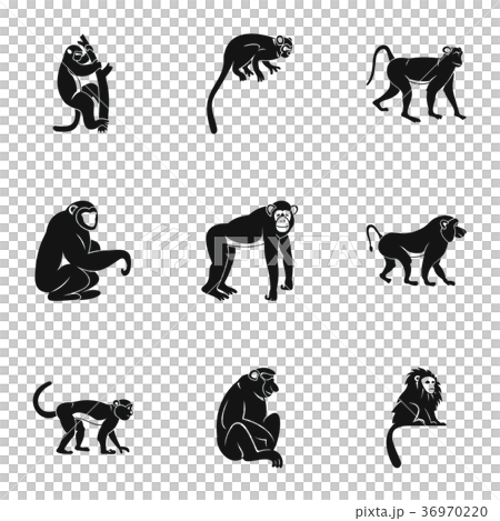 Jungle monkey icon set, simple style Jungle monkey icon set, simple style 36970220