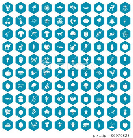 100 live nature icons sapphirine violet 100 live nature icons sapphirine violet 36970323