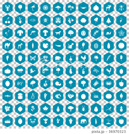 100 live nature icons sapphirine violet 100 live nature icons sapphirine violet 36970323