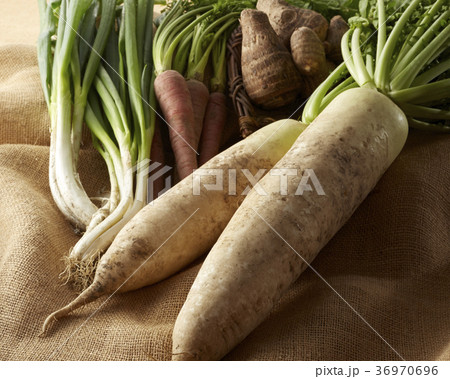 野菜集合 野菜集合 36970696