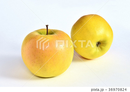 リンゴ（こうこう） 36970824