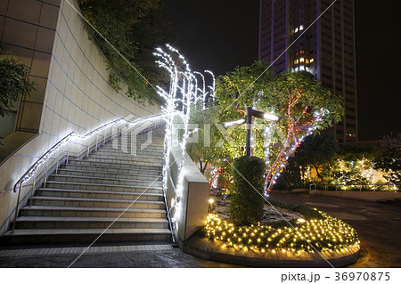なんばイルミネーション 36970875