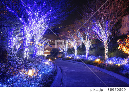 なんばイルミネーション 36970899