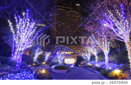 なんばイルミネーション 36970900