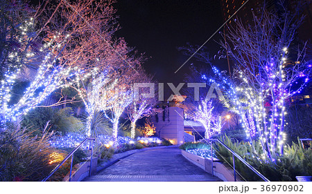 なんばイルミネーション 36970902