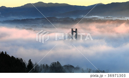 秩父盆地の雲海 36971303